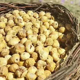 تصویر 3 از قیمت انجیر خشک اعلا + خرید باور نکردنی